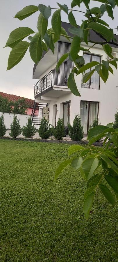 Accent Garden Apartment Deva Exterior photo